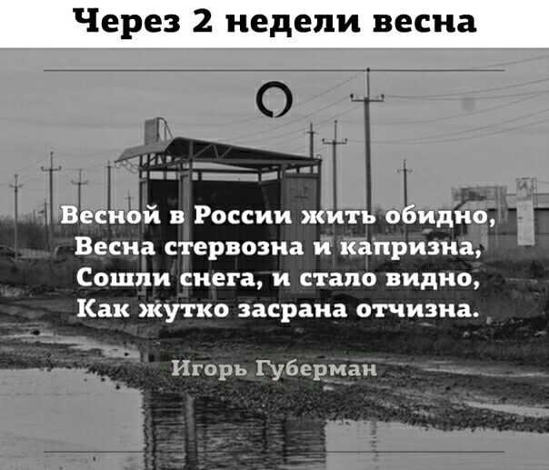 Через 2 недели весна дой в России т Весна сё ервозиа йапризиаё Сошпи снега и стало видно Как жутко засраиа отчириа