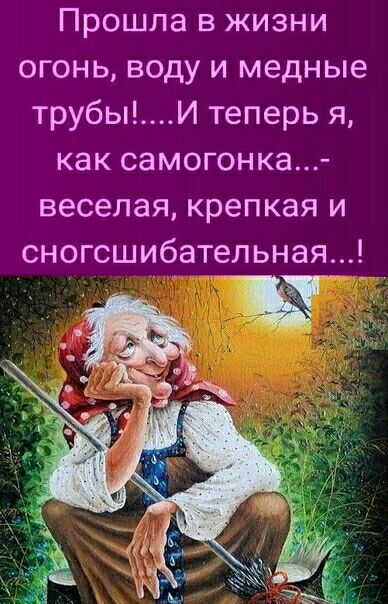 Прошла в жизни огонь воду и медные трубыИ теперь я как самогонка веселая крепкая и сногсшибательная