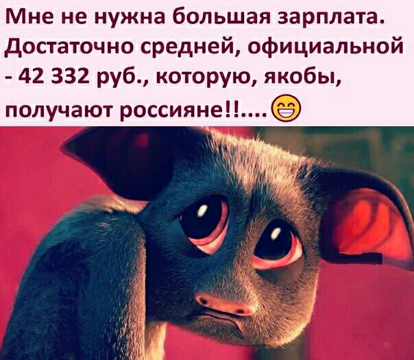Мне не нужна большая зарплата достаточно средней официальной 42 332 руб которую якобы получают россияне
