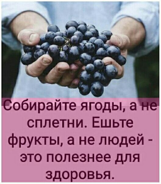 обирайте ягоды а сплетни Ешьте фрукты а не людей это полезнее для здоровья