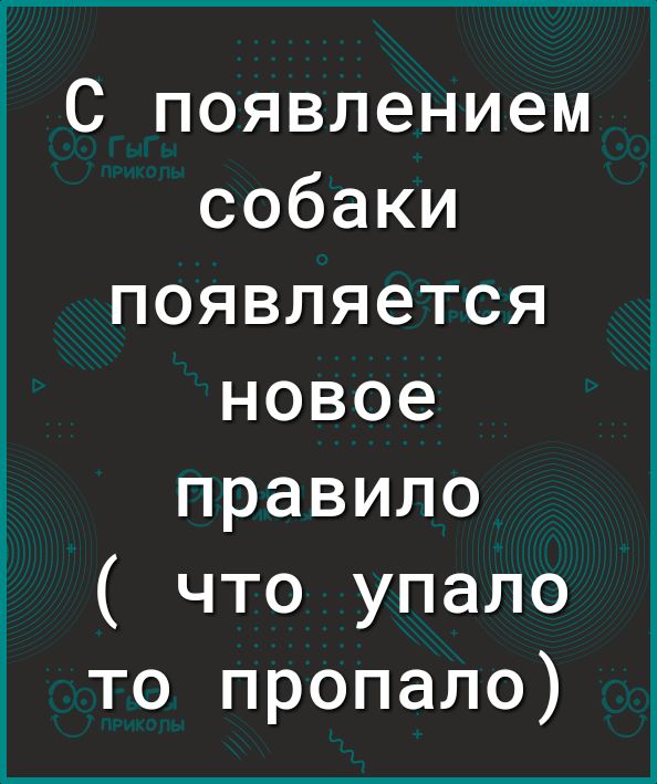 С появлением собаки появляется новое правило что упало то пропало