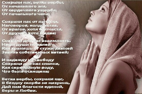 пити инь шхрщ Навиду швам ин мэрии для дпнгши снимая Веры и пм