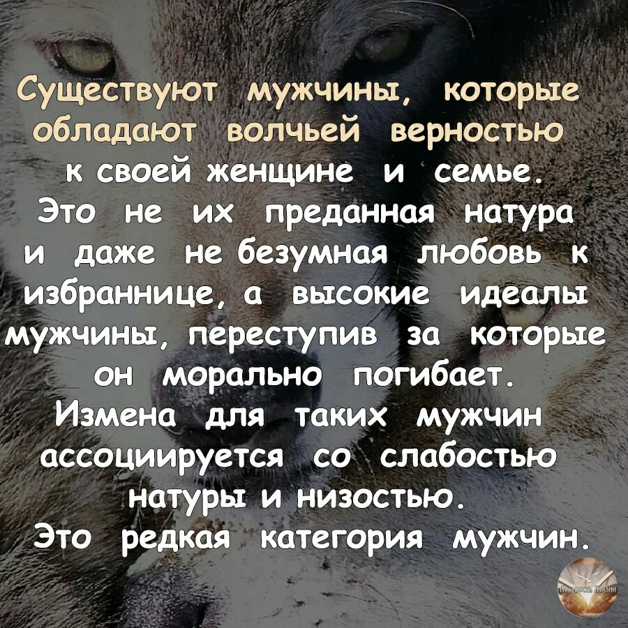 Существуют мужчины которые обладают волчьей верностью к своей женщине и семье Это не их преданная натура и даже не безумная любовь к избраннице а высокие идеалы мужчины переступив за которые он морально погибает Измена для таких мужчин ассоциируется со слабостью натуры и низостью Это редкая категория мужчин ттттт