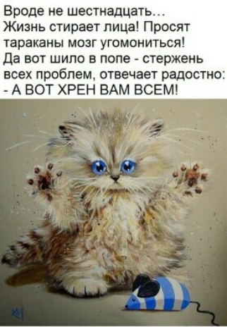 Вроде не шесгнадцать Жизнь стирает лица Просят тараканы мозг угомониться да вот шило в попе стержень всех проблем отвечает радостно А ВОТ ХРЕН ВАМ ВСЕМ