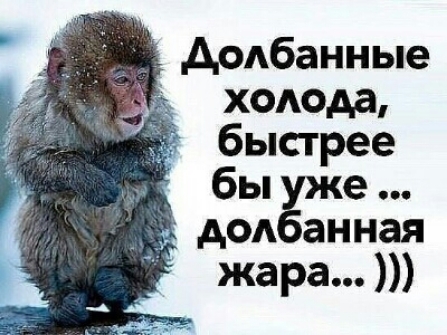 додбанные холода быстрее бы е дод анная жара