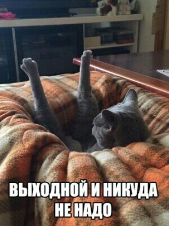 вьшпдніій и иннш ЩЕ 4ішдо д 1