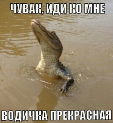 ШШВШЗШЕ пЗШЩШЧШЪРЕнгдендн