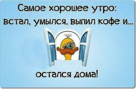 Самое хорошее утро встал умыпся выпип кофе и остался дома