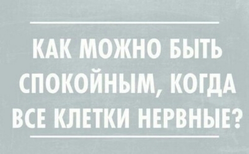 кдк можно выть спокойным когдА всг клетки нвгвныв