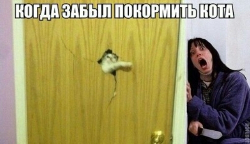 _