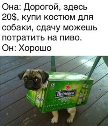 Она дорогой здесь 20 купи костюм для собаки сдачу можешь потратить на пиво Он Хорошо