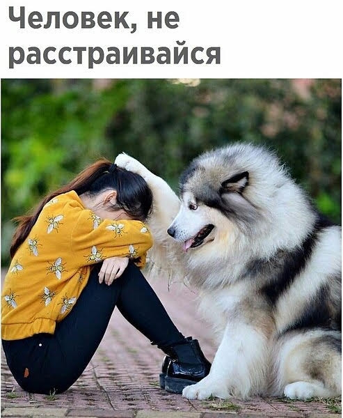 Человек не расстраивайся