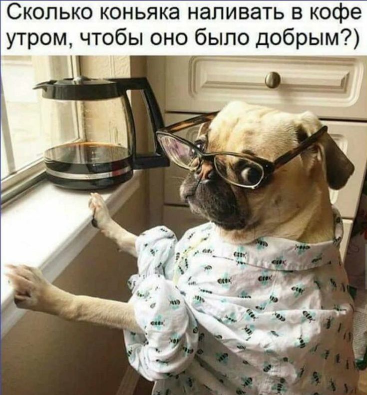 Сколько коньяка наливать в кофе утром чтобы оно было добрым