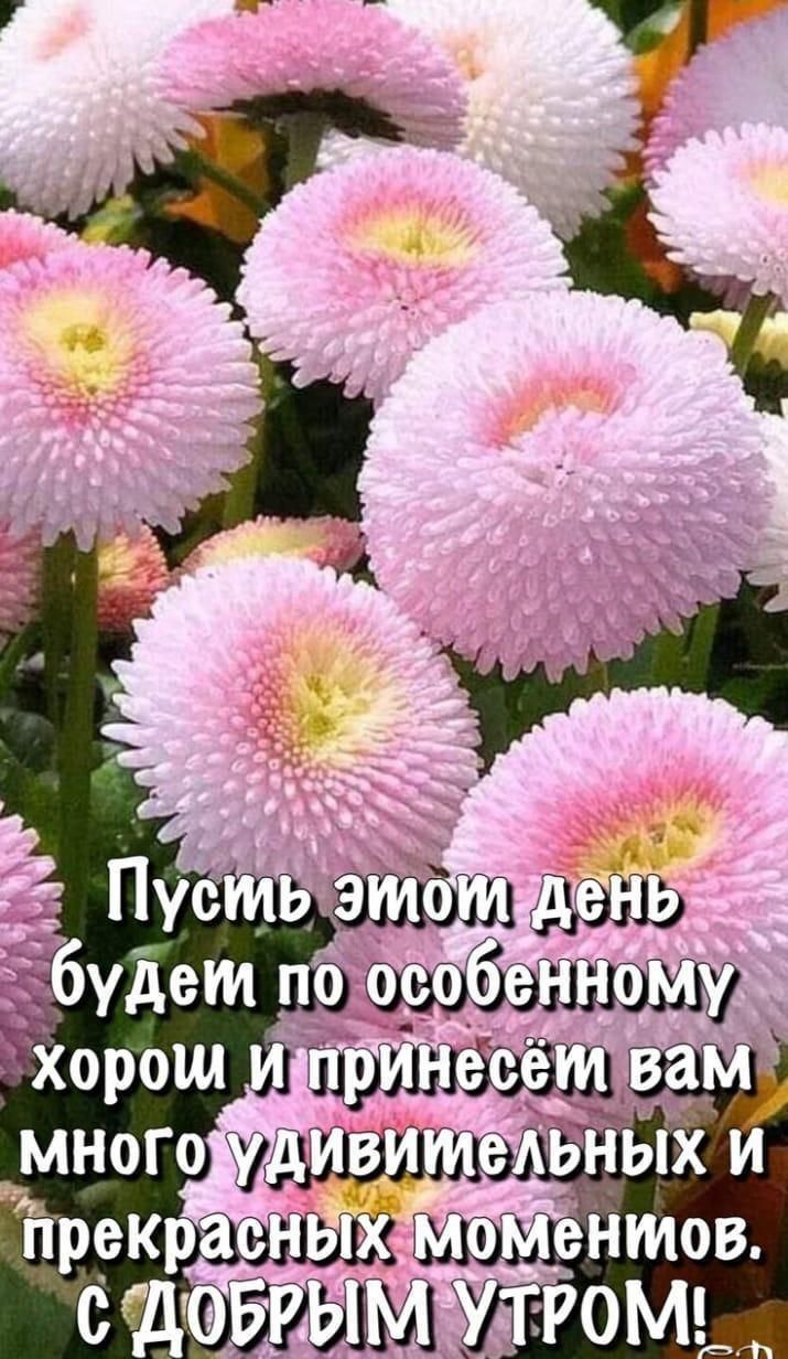 _ Пусть будет по ам