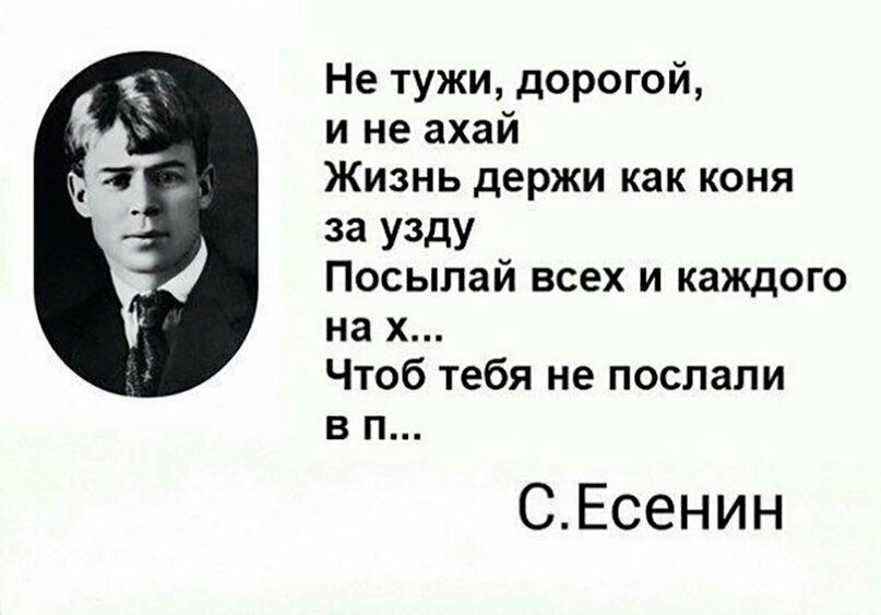 Не тужи дорогой и не ахай Жизнь держи как коня За У3дУ Посылай всех и каждого на х Чтоб тебя не послали в п СЕсенин