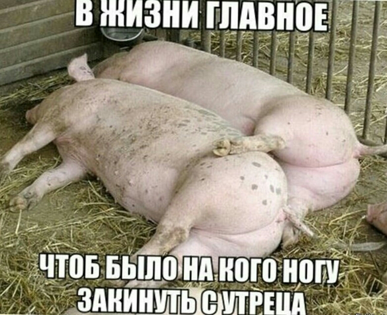вжизни гпдвно_ ч овБыпоидмою ііош у __ здниЩеатш