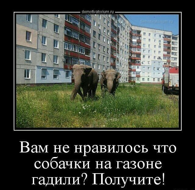 Вам не нравилось что собачки на газоне гадипи Получите