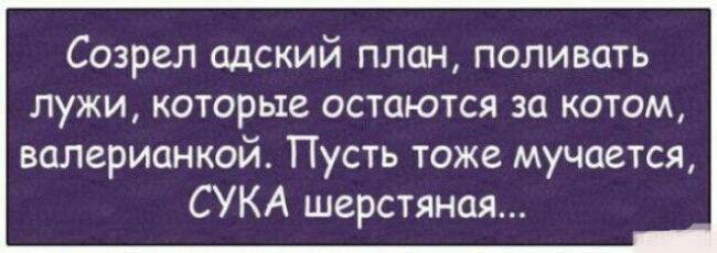 Созрел адский план поливать лужи которые остаются за котом валерианкой Пусть тоже мучается СУКА шерстяная