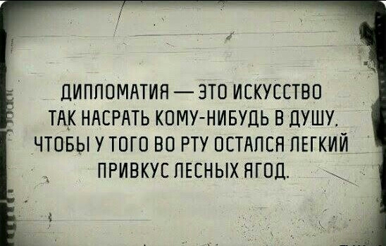 ДИПЛОМАТИЯ ЭТО ИСКУССТВО ТАК НАСРАТЬ КОМУ НИБУДЬ В ДУШУ ЧТОБЫ У ТПГО ВО РТУ ОСТАЛСЯ ЛЕГКИЙ ПРИВКУС ЛЕСНЫХ НГПД