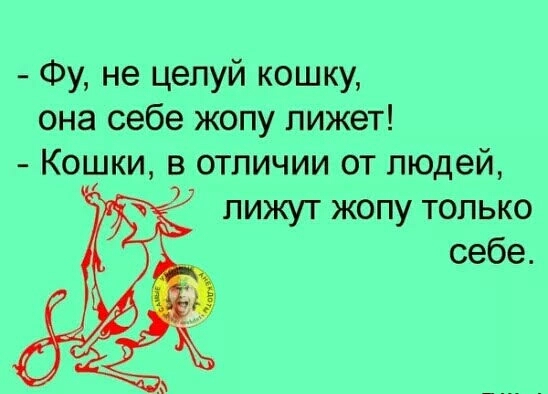 Фу не целуй кошку она себе жопу лижет Кошки в отличии от людей лижут жопу только себе