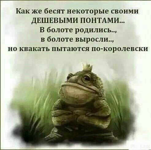Как же бесят некоторые своими ДЕШЕВЫМИ ПОНТАМИ В болоте родились в болоте выросли на квакать пытаются по королевски