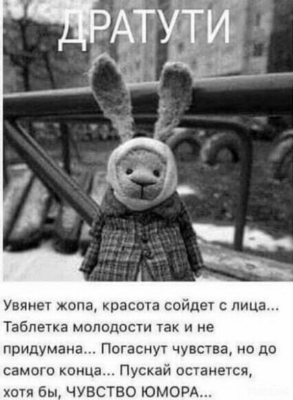 Увянет жопа красота сойдет с лица Таблетка молодости так и не придумана Погаснут чувства но до самого конца Пускай останется хотя бы ЧУВСТВО ЮМОРА