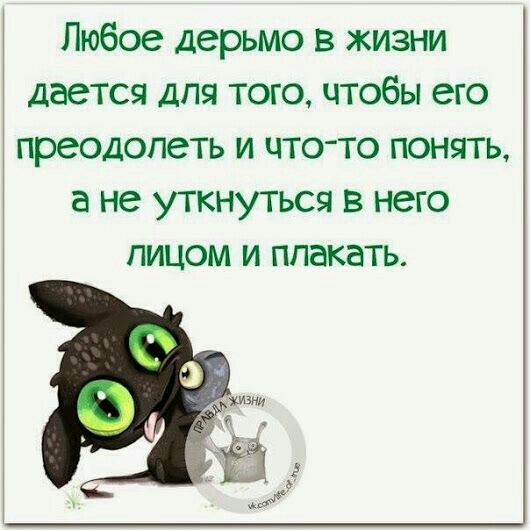 Любое дерьмо в жизни дается Для того чтобы его преодолеть и что то понять а не уткнуться в него лицом и плакать
