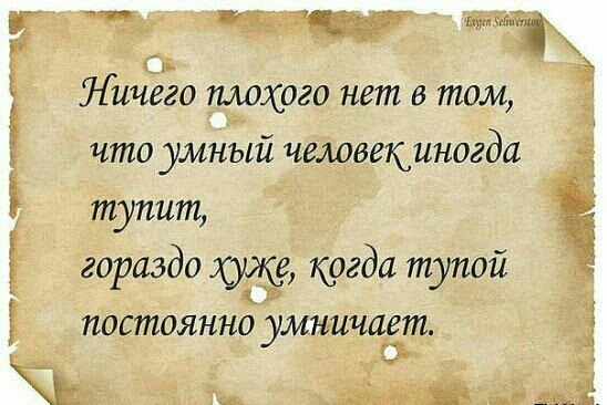 Ничего плохого нет в том 3 что умный человекиногда Ё тупит гораздо когда тупой постоянно умничает і Ёж 3511 тп