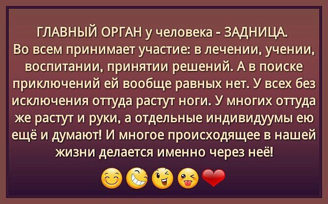 ГЛАВНЫЙ ОРГАН у человека ЗАДНИЦА Во всем принимает участие в лечении учении воспитании принятии решений А в поиске приключений ей вообще равных нет У всех без исключения оттуда растут ноги У многих оттуда же растут и руки а отдельные индивидуумы ею ещё и думают И многое происходящее в нашей жизни делается именно через неё 6930