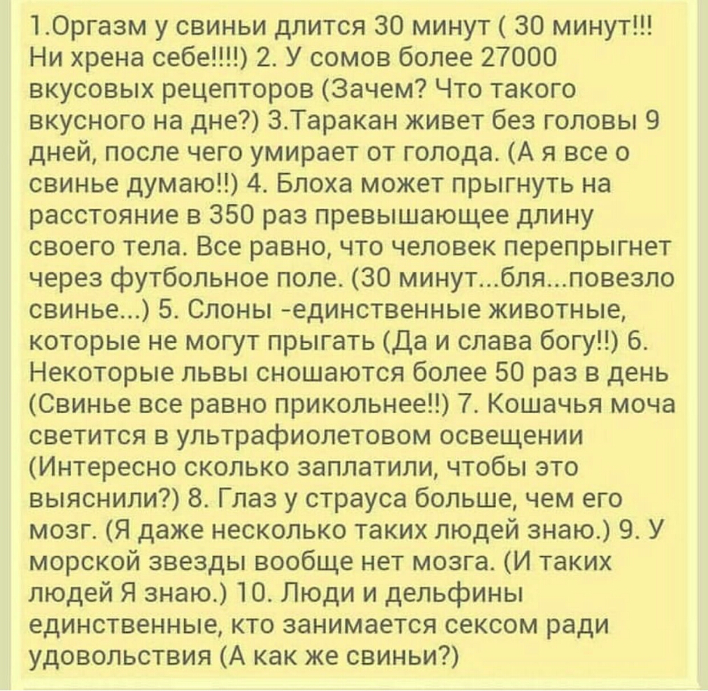 10ргазм у свиньи длится 30 минут 30 минут Ни хрена себе 2 У сомов более 27000 вкусовых рецепторов Зачем Что такого вкусного на дне 3Таракан живет без головы 9 дней после чего умирает от голода А я все о свинье думаю 4 Блоха может прыгнуть на расстояние в 350 раз превышающее длину своего тела Все равно что человек перепрыгнет через футбольное поле 30 минутбпяповезло свинье 5 Слоны единственные живо