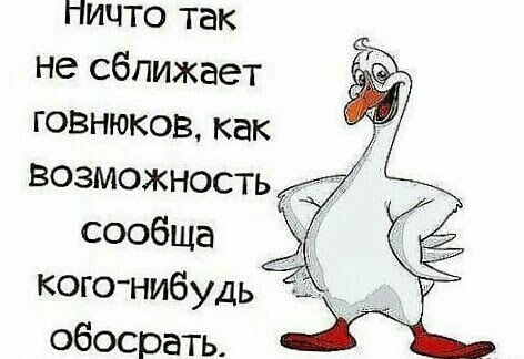 ничто так не сближает говнгоков как возможность сообща кого нибудь обосрать