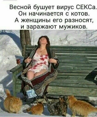 Весной бушует вирус СЕКСа Он начинается с котов А ЖЕНЩИНЫ ЕГО разносят И ЭЭРЭЖЭЮТ МУЖИКОВ_