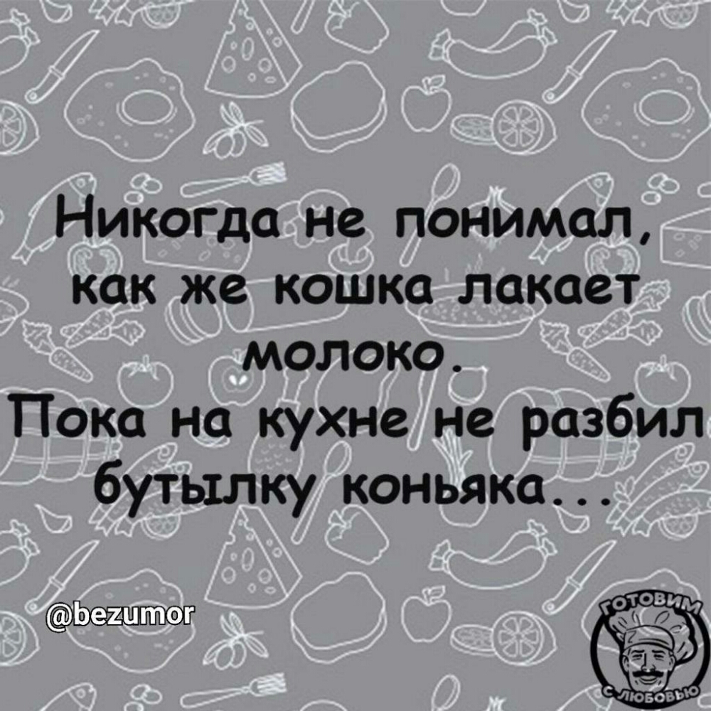 Никогда не понимал как же кошка лакает молоко Пока на кухне не разбил бутылку коньяка фто им ыдшшг ак дп