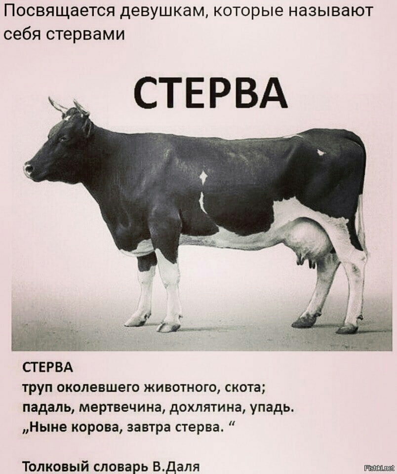 Посвящается девушкам которые называют себя стервами СТЕРВА СТЕРВА труп околевшего животного скота падаль мертвечина дохлятина упадь Ныне корова завтра стерва Толковый словарь Вдаля