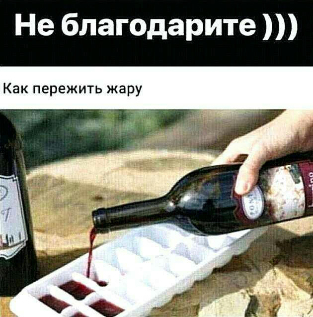 Не благодарите Как пережить жару