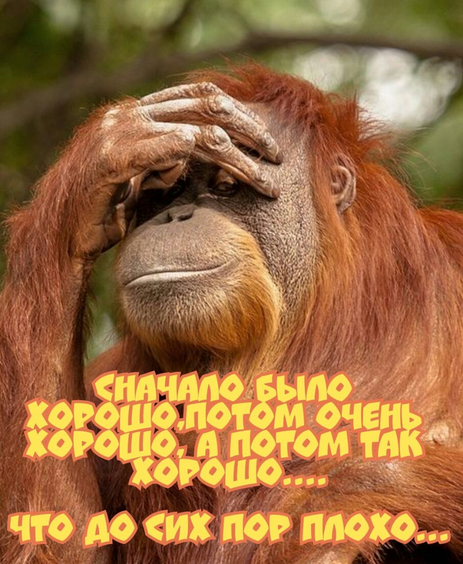 ЧТО АО ИХ ПОР ПЛОХО