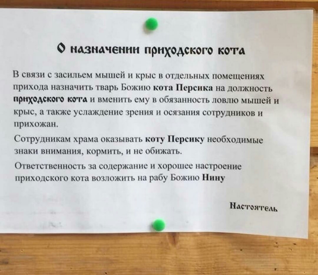 _ О назначении приходского кота В связи с засильем мышей и крыс в отдельных помещениях прихода назначить тварь Божию кота Персики на должность приходского кота и вменить ему в обязанность ловлю мышей и крыс а также услаждсі шс зрения и осязания сотрудников и прихожан Сотрудникам храма оказывать коту Персику необходимые знаки внимания кормить и не обижать Ответственность за содержанию и хорошее нас