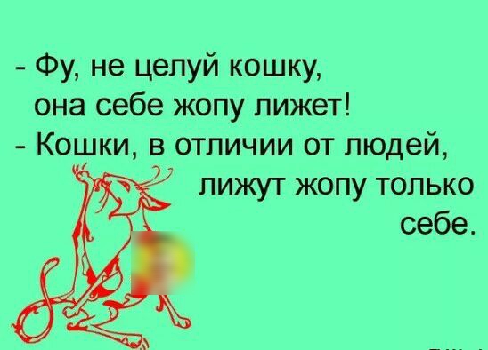 Фу не целуй кошку она себе жопу лижет Кошки в отличии от людей 7 лижут жопу только себе
