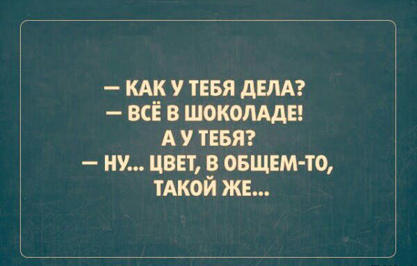кдк у тввя дЕЛА всЁ в шокомдв А у ТЕБЯ ну цвет в вашем то тАкой ж