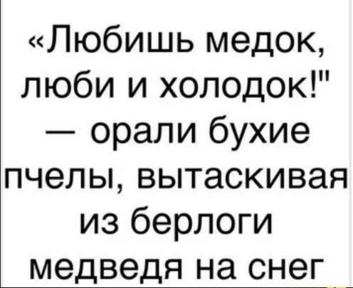 Любишь медок люби и холодок орали бухие пчелы вытаскивая из берлоги медведя на снег_