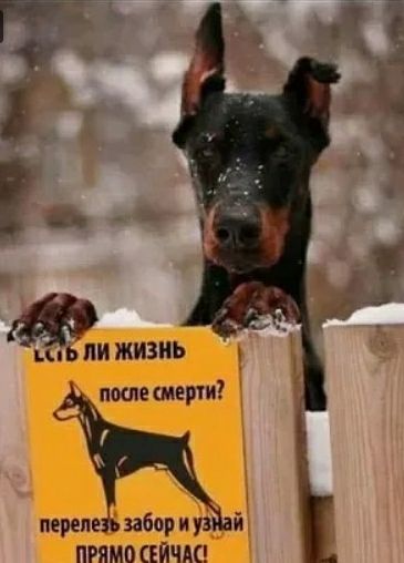 ПРЯМО ЙЧШ