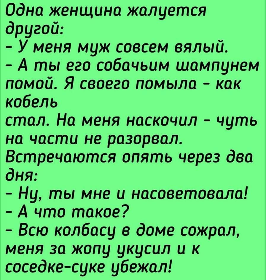 Одна женщина жалуется другой У меня муж совсем вялый А ты его собачьим шампунем помой Я своего помыла как кобель стол На меня наскочил чуть на части не разорвал Встречаются опять через два дня Ну ты мне и насоветовала А что такое Всю колбасу в доме сожрал меня за жопу укусил и к соседке суке убежал