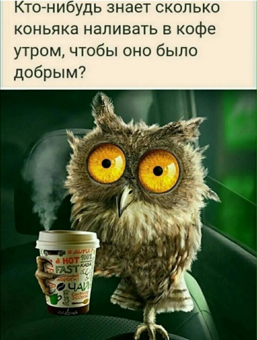 Кто нибудь знает сколько коньяка наливать в кофе утром чтобы оно было добрым