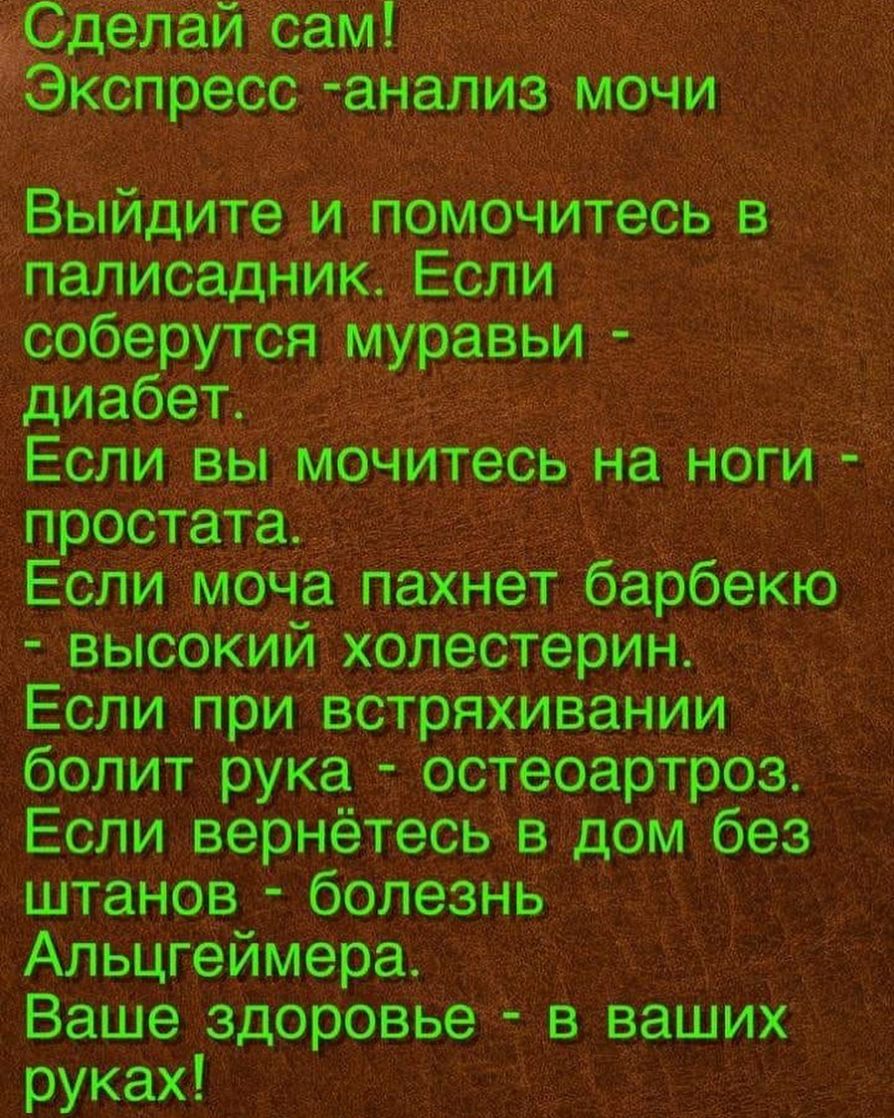 ыиди __ омочитесь в апалисад соберут болит рука ос Если вернетесь в дом без штанев болезнь Альцгеимера _ Ваше здоровье в ваших руках ъ _