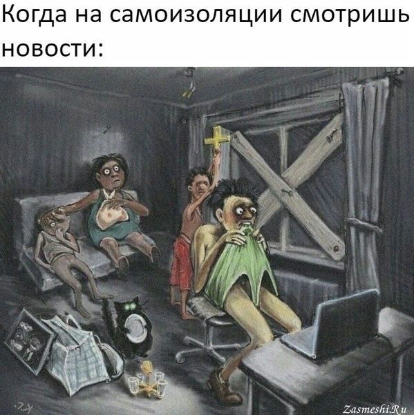 Когда на СЭМОИЗОЛЯЦИИ смотришь НОВОСТИ Зимним 904