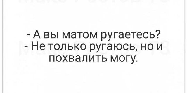 А вы матом ругаетесь Не только ругаюсь но и похвалить могу