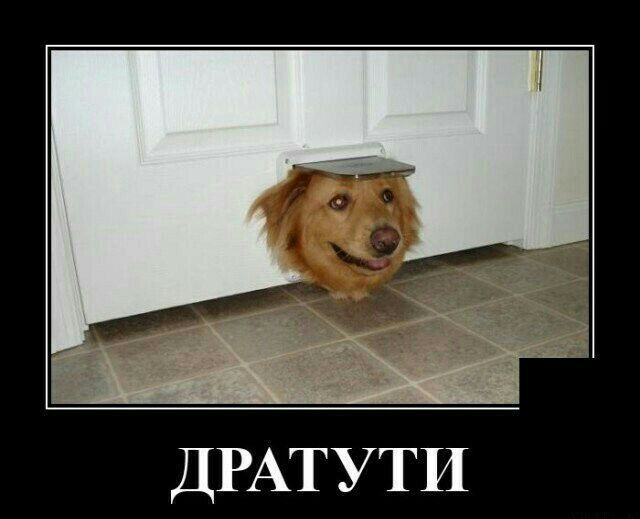 ДРАТУТИ