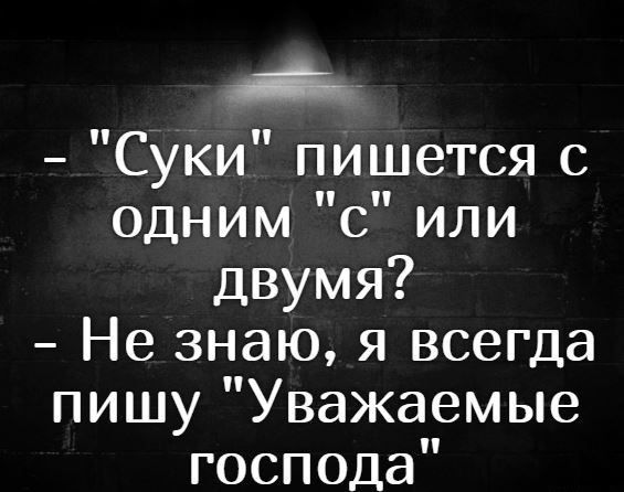 СУКИ пишется с однимЪили двумя Не знаю я всегда пишуУважаемые господа