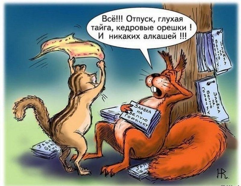 Всё Отпуск глухая тайга кедровые орешки И никаких апкаше