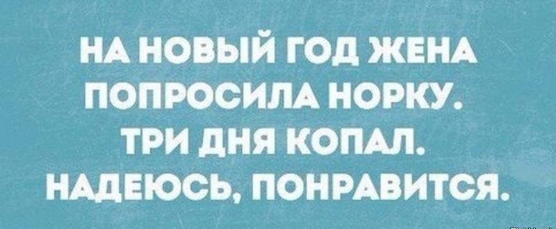 НА новый год ЖЕНА попросим норку три дня комп нцвюсь понизится